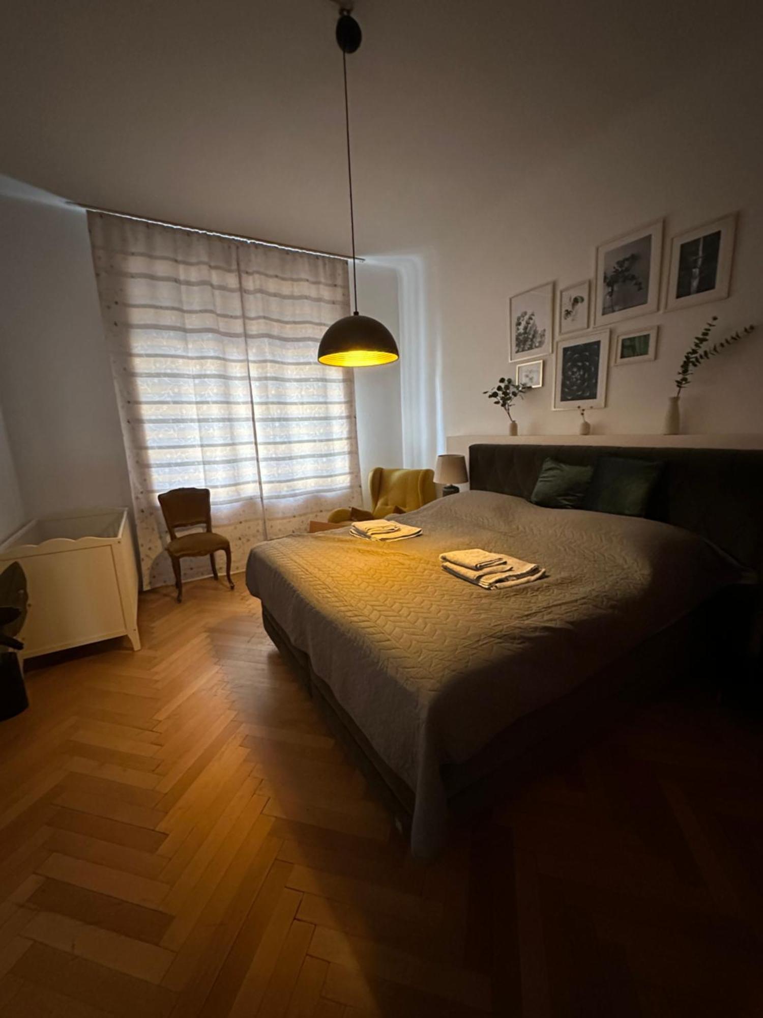 Big Vintage Style Flat Near Schonbrunn Apartment เวียนนา ภายนอก รูปภาพ
